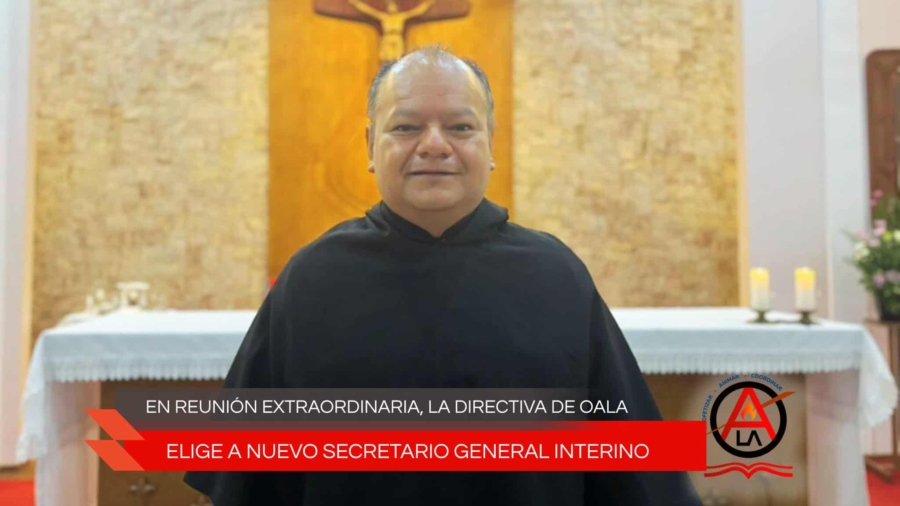 Secretario general interino